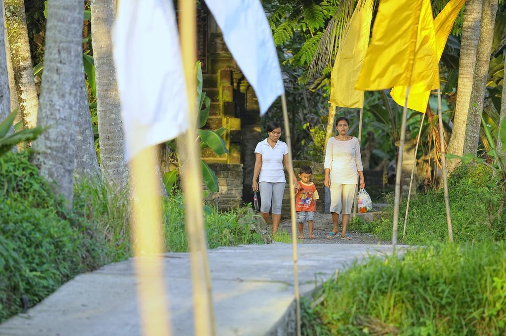 Villa Alam Gold - Rice Paddy Oasis Ubud  Exterior photo