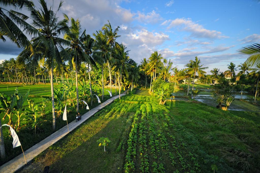 Villa Alam Gold - Rice Paddy Oasis Ubud  Exterior photo