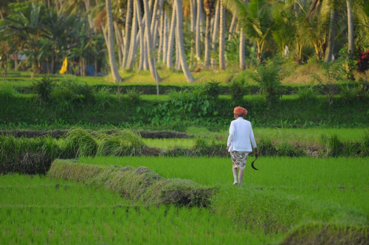 Villa Alam Gold - Rice Paddy Oasis Ubud  Exterior photo